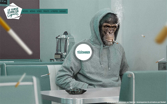 �W(w��ng)վ���O(sh��) �W(w��ng)��O(sh��)Ӌ�L(f��ng)�� �W(w��ng)��O(sh��)Ӌ �W(w��ng)վ�Ñ��w�