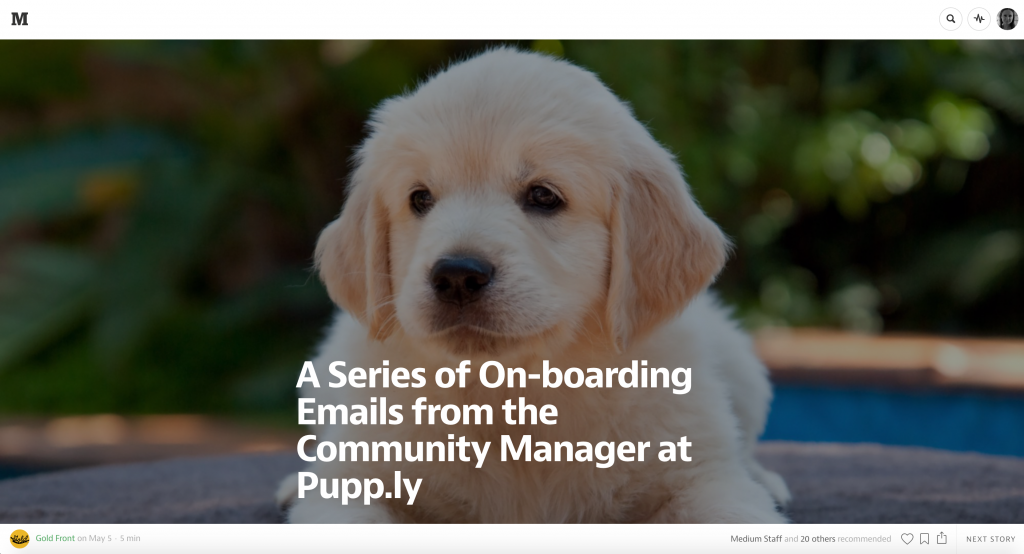 Web�OӋ �W(w��ng)վ�߄� �W(w��ng)վ���O �W(w��ng)վ��(y��u)��